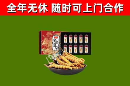 泉州回收冬虫夏草价格